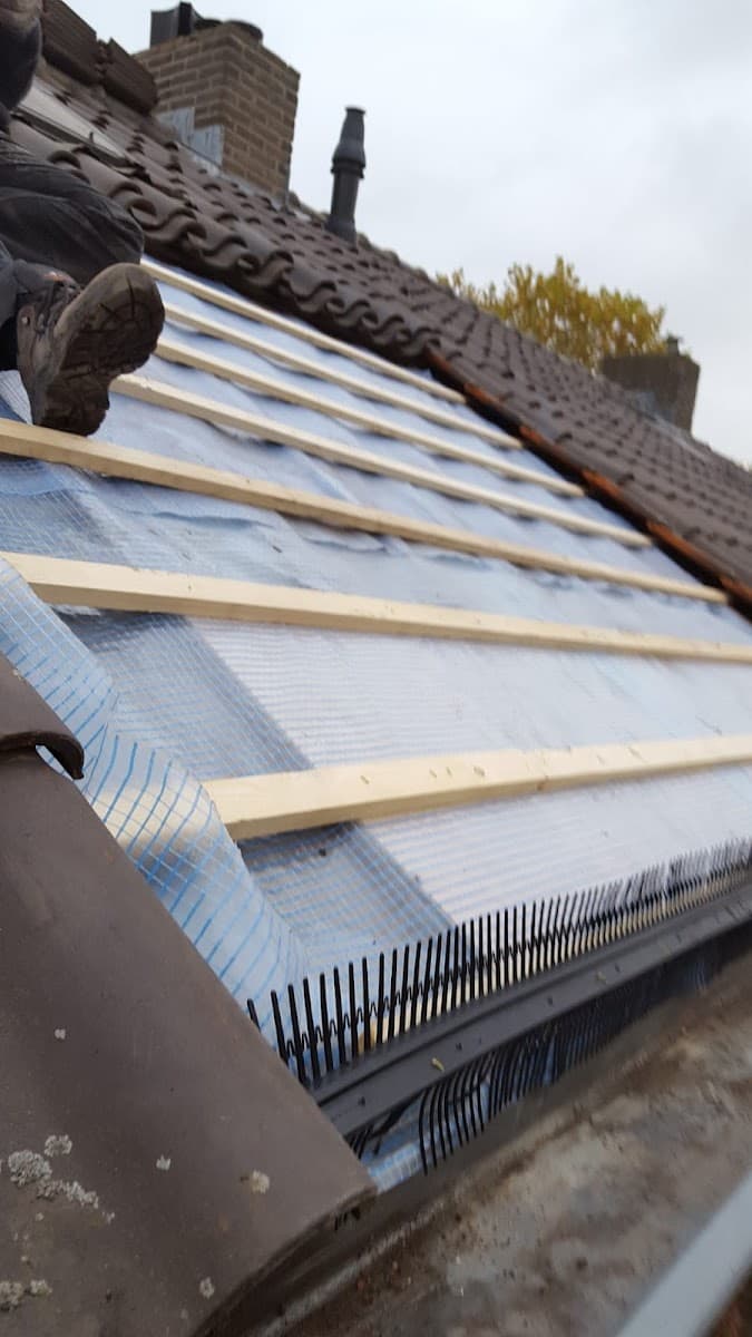 Pannendak renovatie